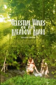 Celestial Wives of the Meadow Mari 2012 on netflix