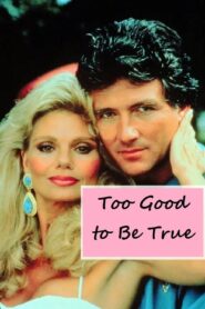 Too Good to Be True 1988 on netflix
