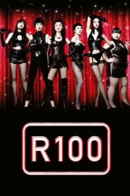 R100 2013 on netflix