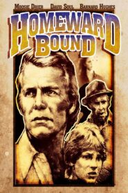 Homeward Bound 1980 on netflix