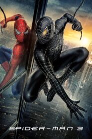 Spider-Man 3 2007 on netflix