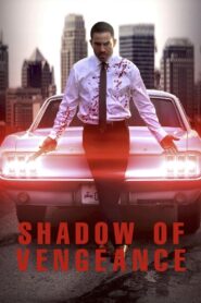 Shadow of Vengeance 2024 on netflix