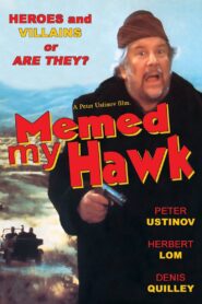 Memed My Hawk 1984 on netflix