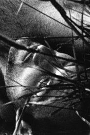 The Urine Crazed Corpse Catchers 1988 on netflix