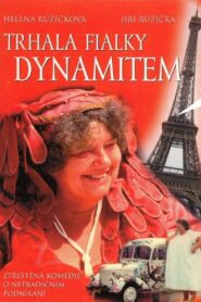 Trhala fialky dynamitem 1992 on netflix