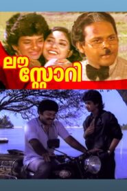 Love Story 1986 on netflix