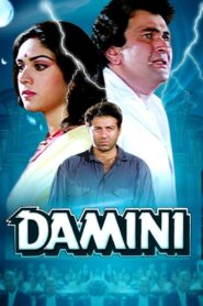 Damini 1993 on netflix