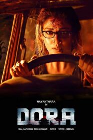 Dora 2017 on netflix