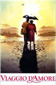 Journey of Love 1990 on netflix