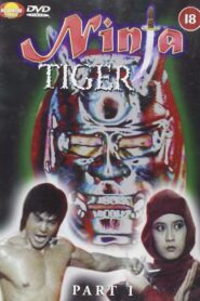 Ninja Death 1987 on netflix