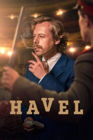 Havel 2020 on netflix