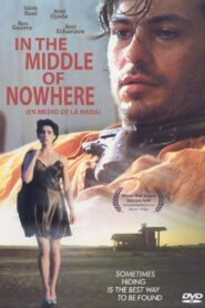 In The MIddle of Nowhere 1993 on netflix