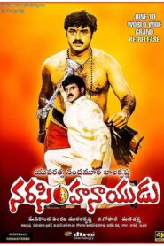 Narasimha Naidu 2001 on netflix