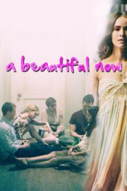 A Beautiful Now 2015 on netflix