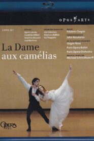 Chopin: La Dame Aux Camélias 2009 on netflix