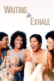 Waiting to Exhale 1995 on netflix