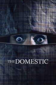 The Domestic 2022 on netflix