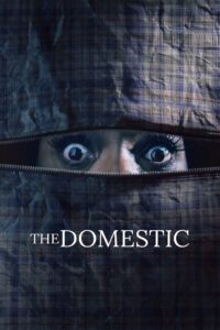 The Domestic 2022 on netflix