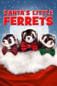 Santa’s Little Ferrets 2014 on netflix