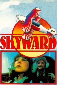 Skyward 1980 on netflix
