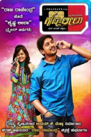 Krishna Leela 2015 on netflix