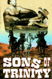 Sons of Trinity 1995 on netflix