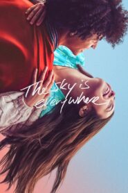 The Sky Is Everywhere 2022 on netflix