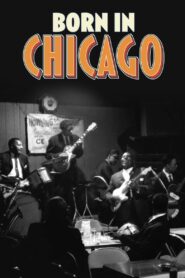 Born In Chicago 2013 on netflix