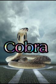 Cobra 1997 on netflix