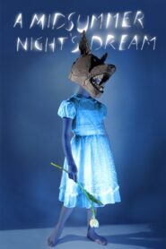 A Midsummer Night’s Dream 2014 on netflix
