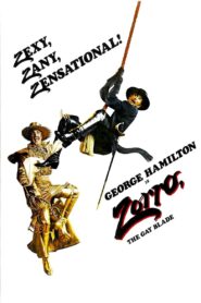 Zorro, The Gay Blade 1981 on netflix