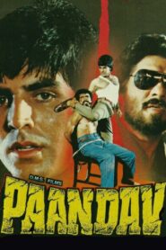 Paandav 1995 on netflix