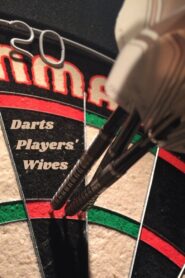 Darts Players’ Wives 2005 on netflix