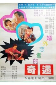 婚外恋者的奇遇 1994 on netflix