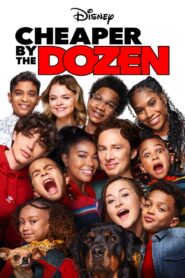 Cheaper by the Dozen 2022 on netflix