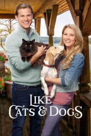 Like Cats & Dogs 2017 on netflix
