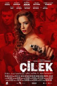 Çilek 2014 on netflix