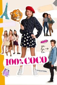 100% Coco 2017 on netflix