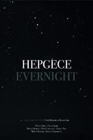 Hepgece 2015 on netflix