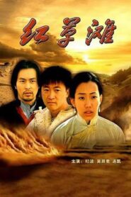 红草滩 2000 on netflix