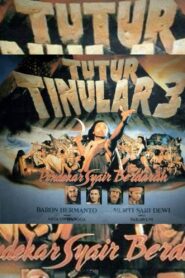 Tutur Tinular III (Pendekar Syair Berdarah) 1992 on netflix