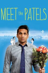 Meet the Patels 2014 on netflix