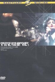 Siouxsie And The Banshees: The Seven Year Itch – Live 2003 on netflix