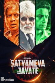 Satyameva Jayate 2019 on netflix