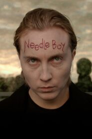 Needle Boy 2016 on netflix