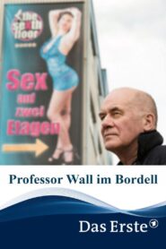 Professor Wall im Bordell 2019 on netflix