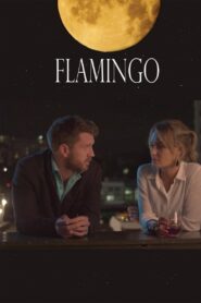 Flamingo 2020 on netflix
