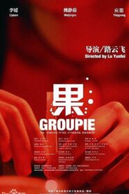 Groupie 2009 on netflix