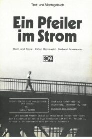 A Pillar In The Stream 1983 on netflix