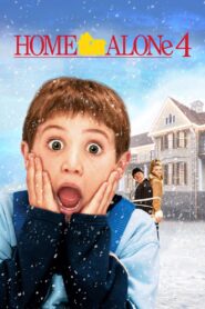 Home Alone 4 2002 on netflix